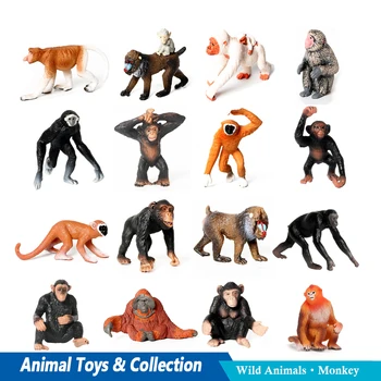 Маймуна, Горила Моделиране на горски джунглата Фигурки на животни Колекция от аниме къдрава фигурек Пластмасови Животни Играчки Новите Детски Играчки